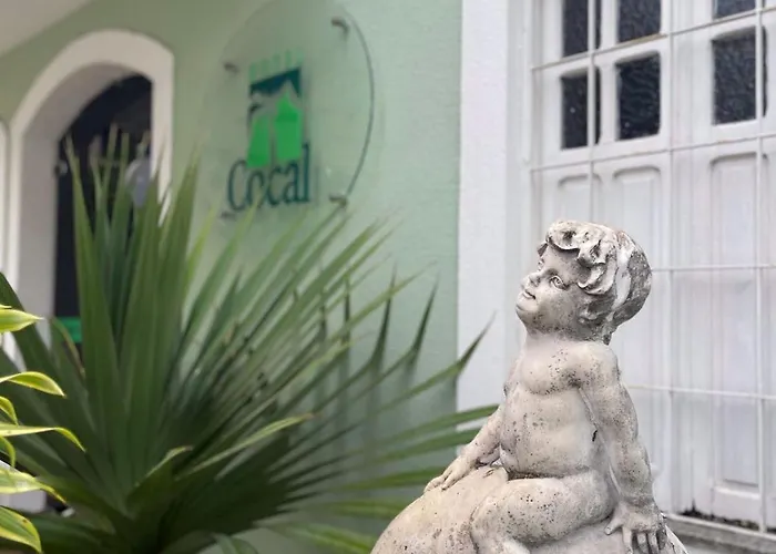 Hotel Cocal